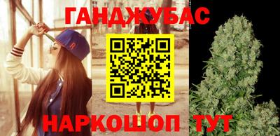 крисы Бузулук