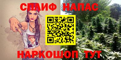 ешки Будённовск