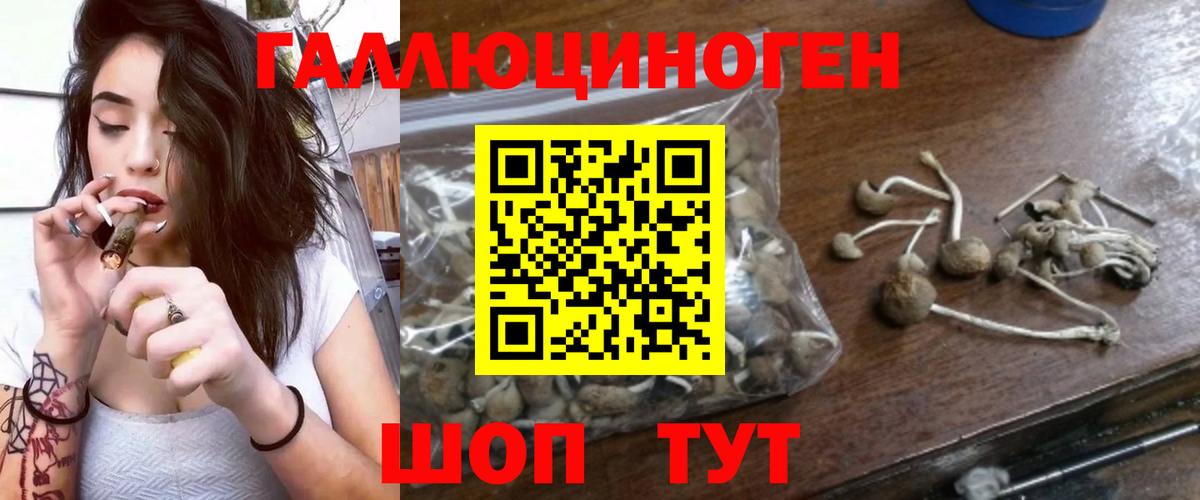 Нефтекумск  Псилоцибиновые грибы Cubensis  Псилоцибиновые грибы MAGIC MUSHROOMS  Вход с VPN 