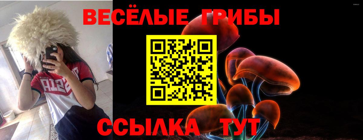 Псилоцибиновые грибы ЛСД Нефтекумск